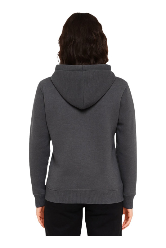 Sweat à capuche Gris foncé Ellesse Ellesse