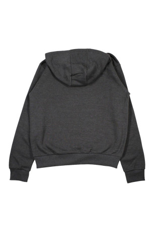 Sweat à capuche Gris foncé Ellesse Ellesse