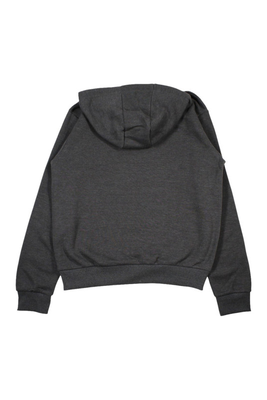 Sweat à capuche Gris foncé Ellesse Ellesse