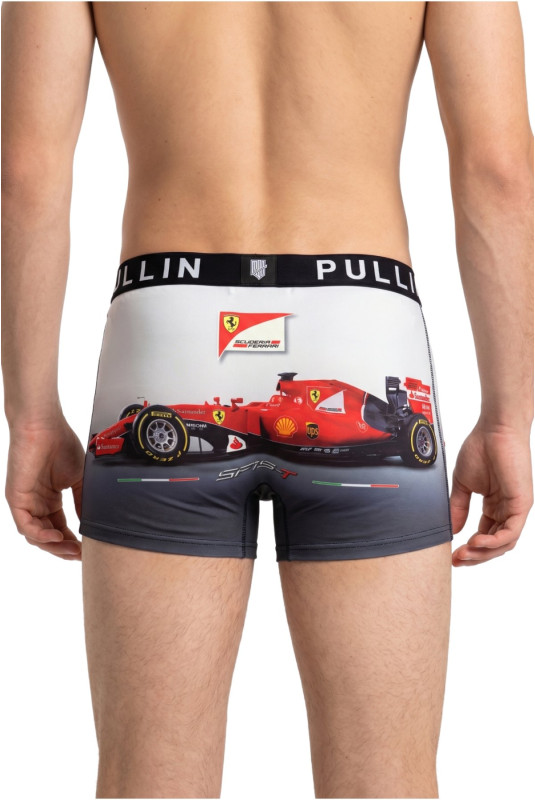 Boxer Long motif F1 Pullin