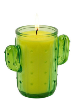Bougie citronnelle Cactus Vert 640 g