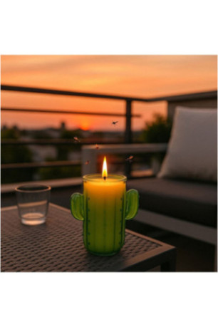 Bougie citronnelle Cactus Vert 640 g