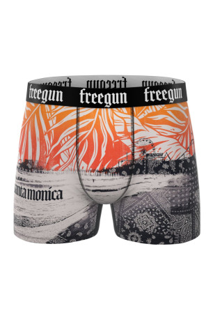 Lot de 5 boxers FREEGUN
