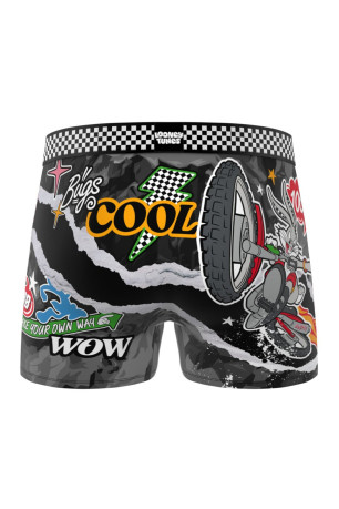 Lot de 4 boxers FREEGUN