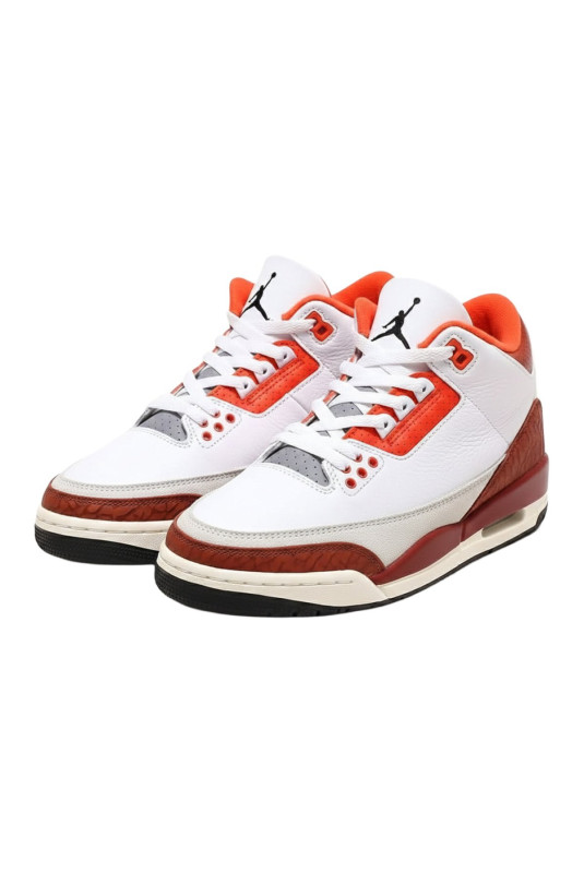 Baskets 3 Retro SE Dunk on Mars Jordan