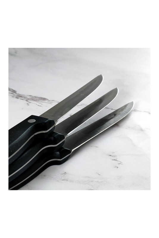 Lot de 3 couteaux à steak lame lisse 11 cm