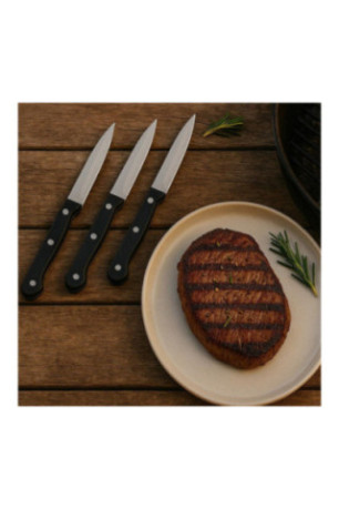 Lot de 3 couteaux à steak lame lisse 11 cm