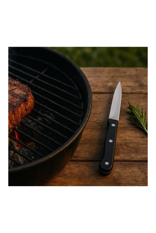 Lot de 3 couteaux à steak lame lisse 11 cm