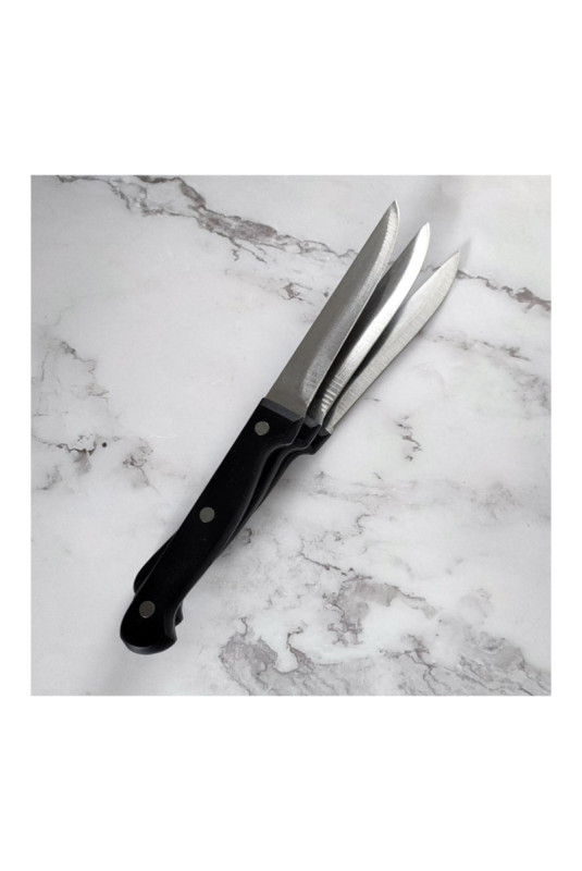 Lot de 3 couteaux à steak lame lisse 11 cm
