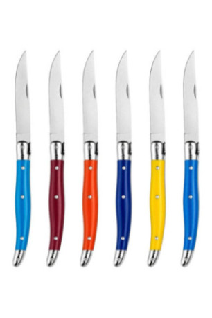 Set de 6 couteaux de table Coloris assortis 23 cm