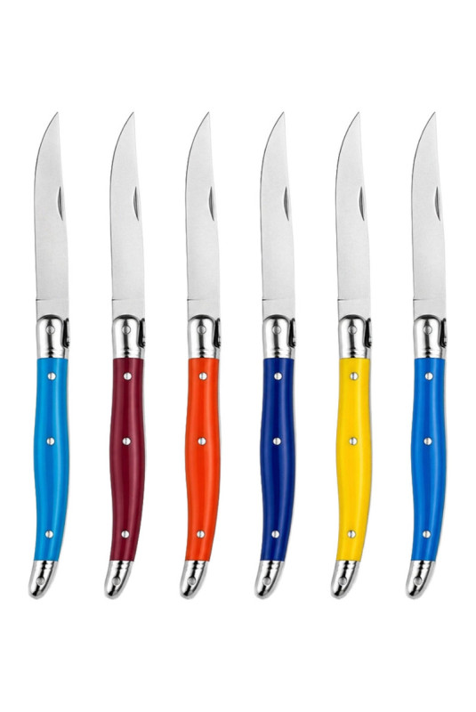 Set de 6 couteaux de table Coloris assortis 23 cm