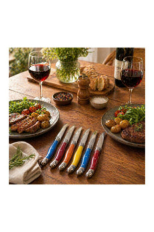 Set de 6 couteaux de table Coloris assortis 23 cm