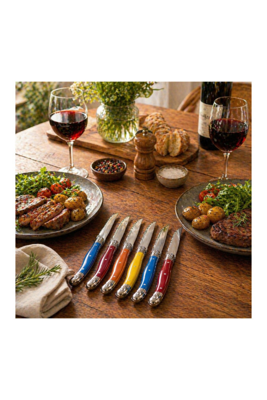 Set de 6 couteaux de table Coloris assortis 23 cm