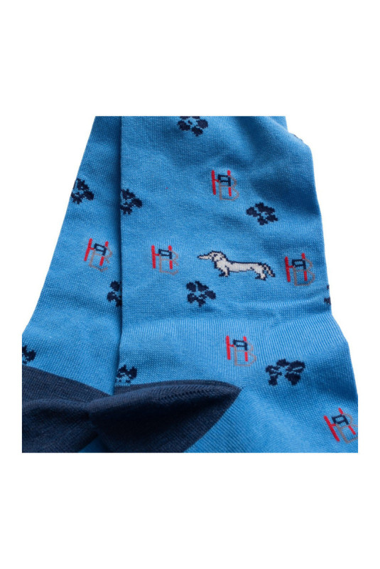 Chaussettes