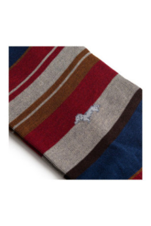 Chaussettes Homme