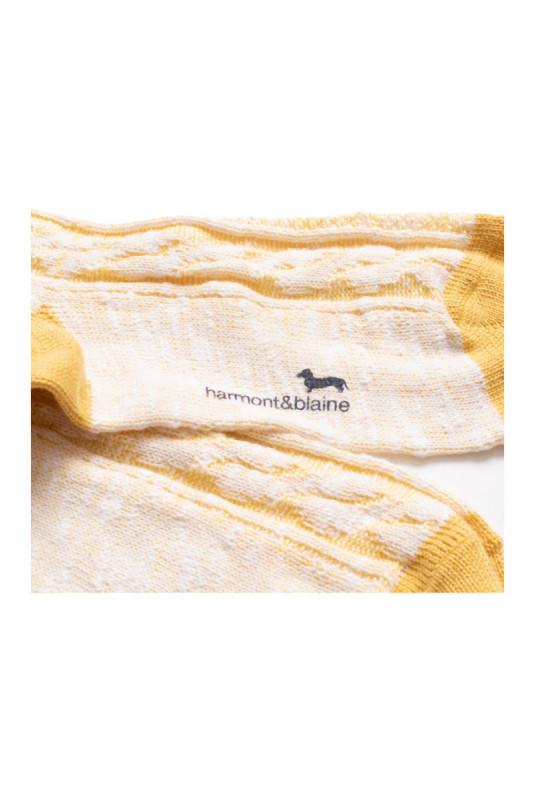 Chaussettes Homme