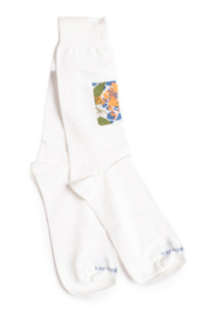Chaussettes Homme