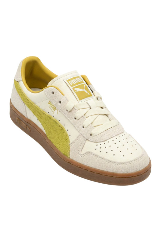 Basket The Neverworn IV Indoor Puma