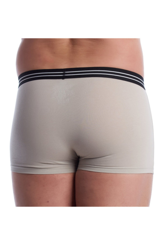 Lot de 2 boxers - Light gray/black