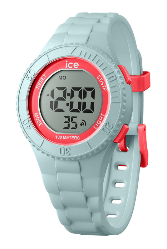 Montre Quartz - Homme - GRAY/GRAY/Red