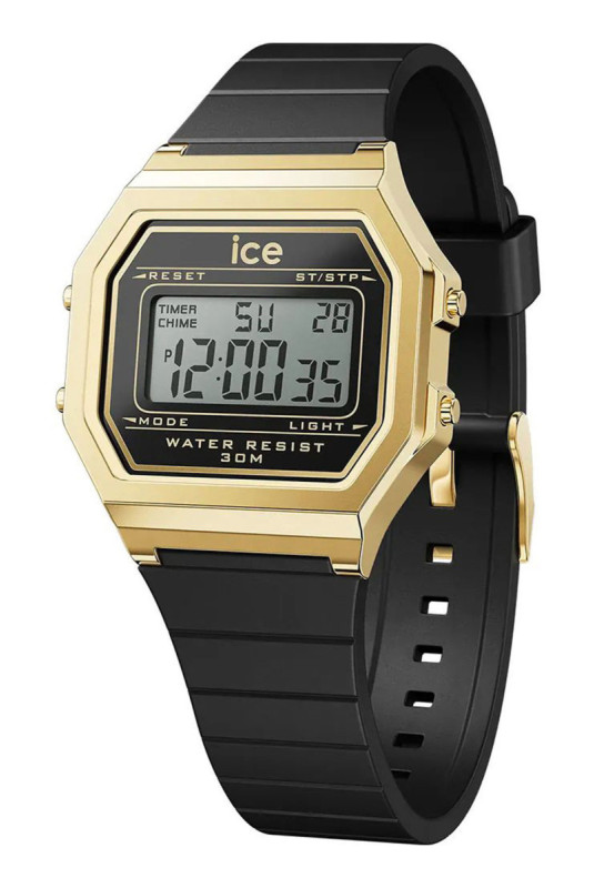 Montre Quartz - Homme - GOLDEN/Black/GOLDEN