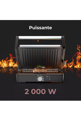 Grill électrique EG2 2000W