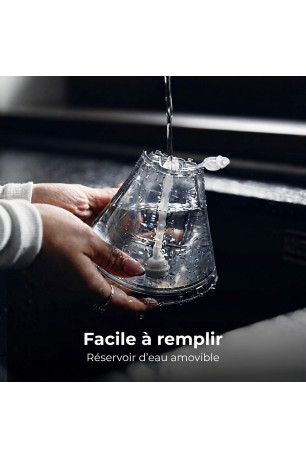 Défroisseur vapeur à main GS1 250 ml
