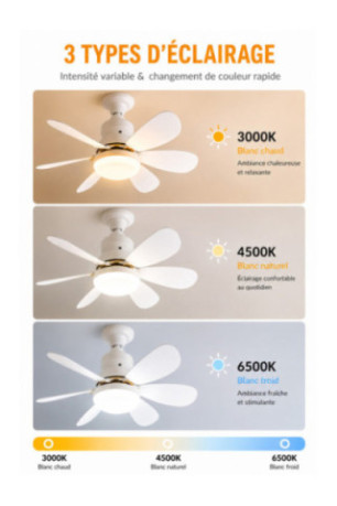 Ventilateur LED 2 en 1