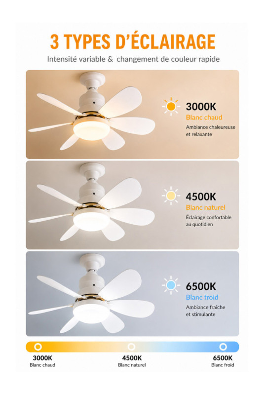 Ventilateur LED 2 en 1