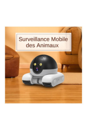 Caméra de surveillance PTZ IP HD 1080p