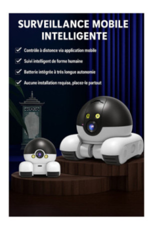 Caméra de surveillance PTZ IP HD 1080p