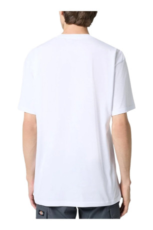 T-shirt manches courtes Vans