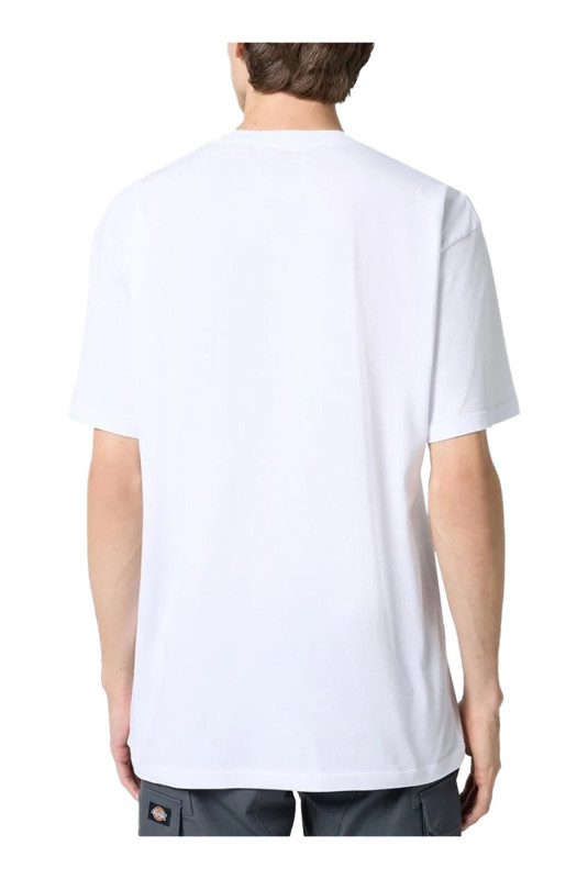 T-shirt manches courtes Vans