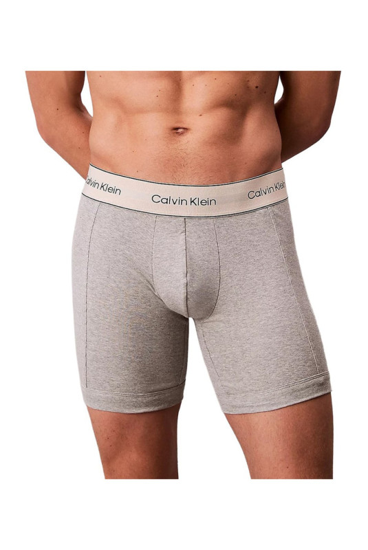 Boxer Calvin klein