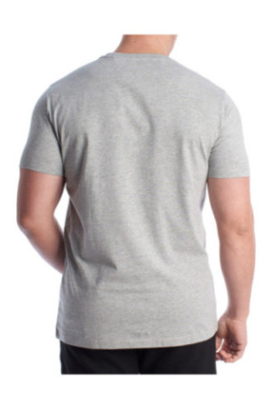 T-shirt - Gray