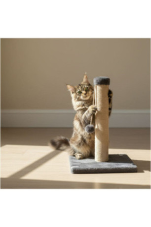 Griffoir pour chat - Anthracite