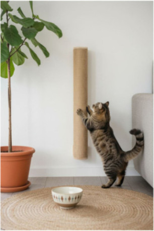 Griffoir pour chat - Beige