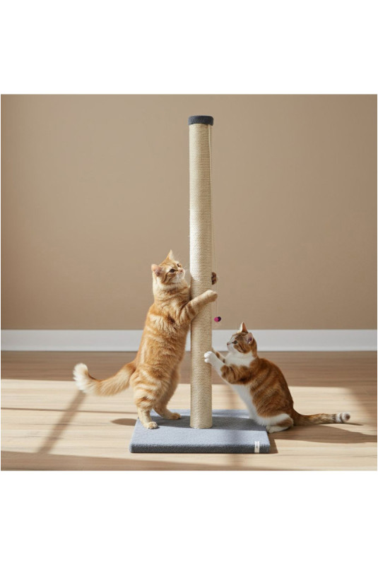 Griffoir pour chat - Anthracite