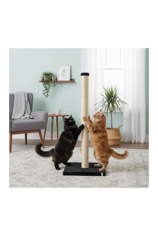 Griffoir pour chat - Noir