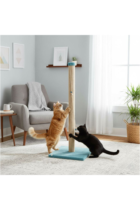 Griffoir pour chat - Turquoise