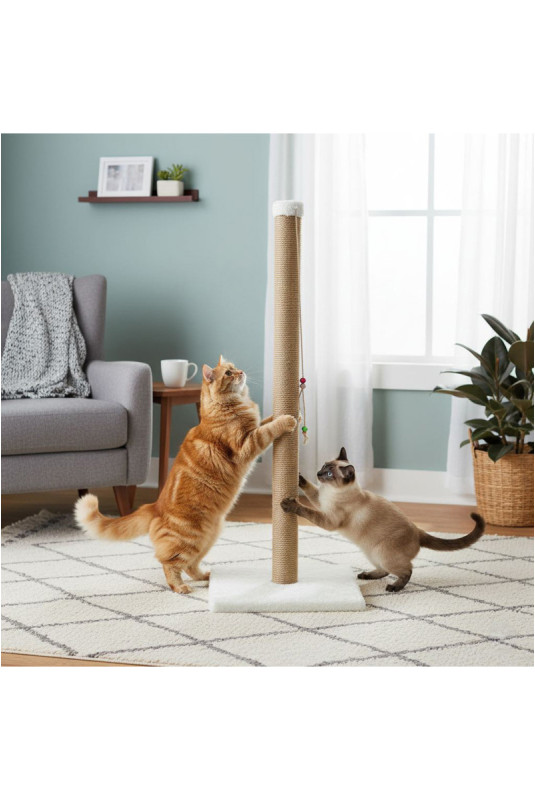 Griffoir pour chat - Blanc