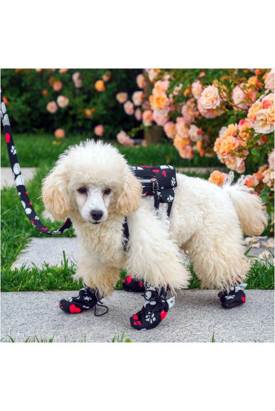 Chaussures pour chiens - Noir