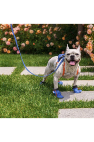 Chaussures pour chiens - Bleu