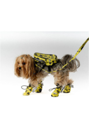 Chaussures pour chiens - Jaune