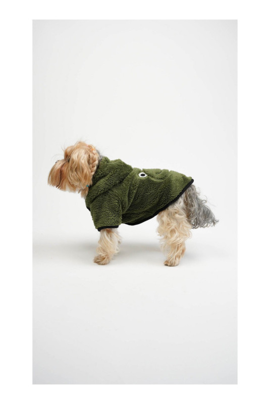 Sweat à capuche pour chien - Vert