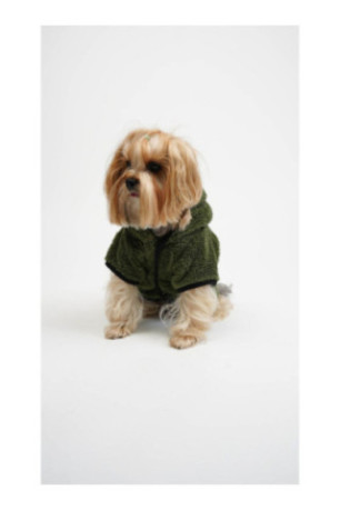 Sweat à capuche pour chien - Vert