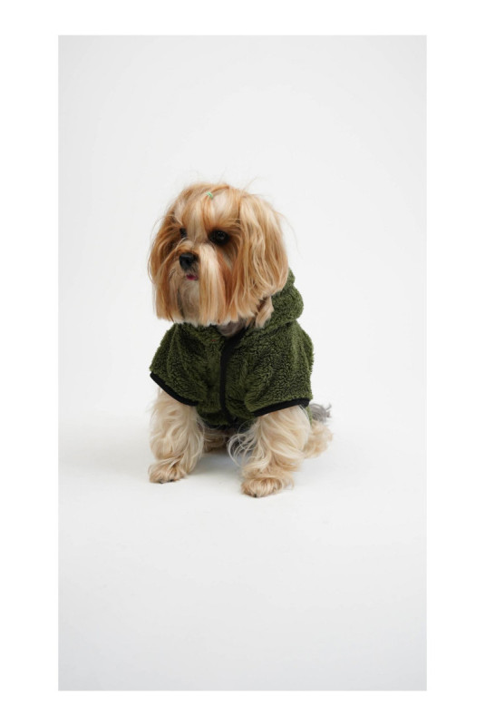 Sweat à capuche pour chien - Vert