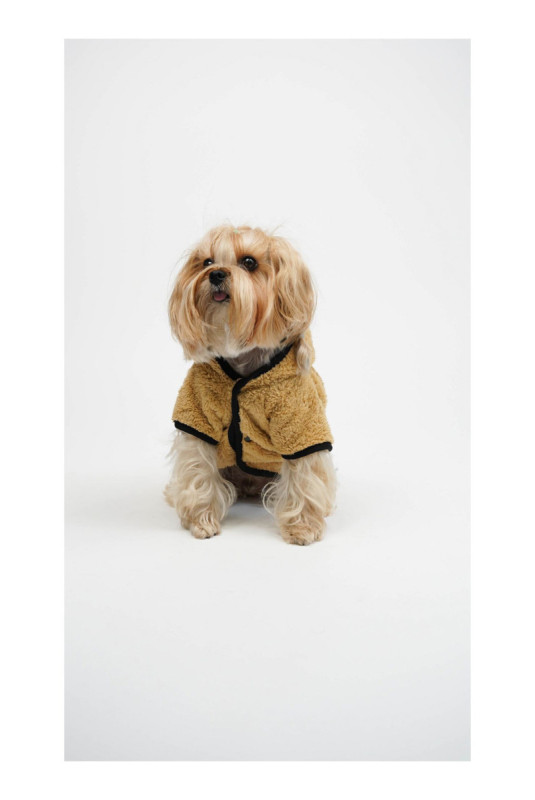 Sweat à capuche pour chien - Vert