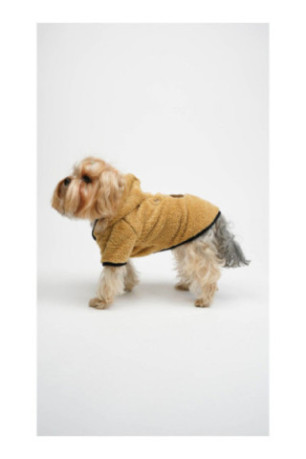 Sweat à capuche pour chien - Vert