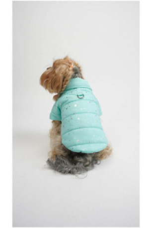 Sweat à capuche pour chien - Bleu